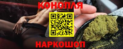 прущие грибы Волгодонск