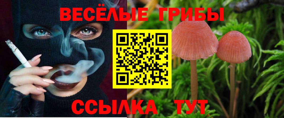 Псилоцибиновые грибы MAGIC MUSHROOMS Рузаевка